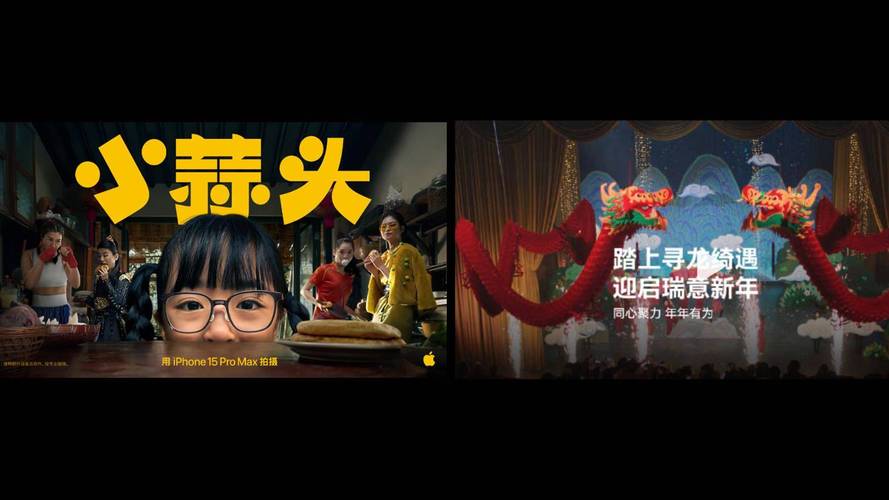 外国儿子vs中国儿子电影