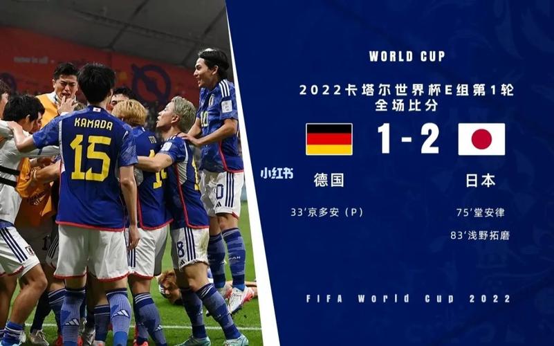 德国vs日本解说无障碍