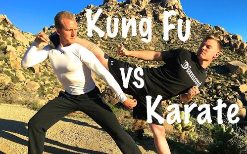 外国拳法vs中国武术视频的相关图片